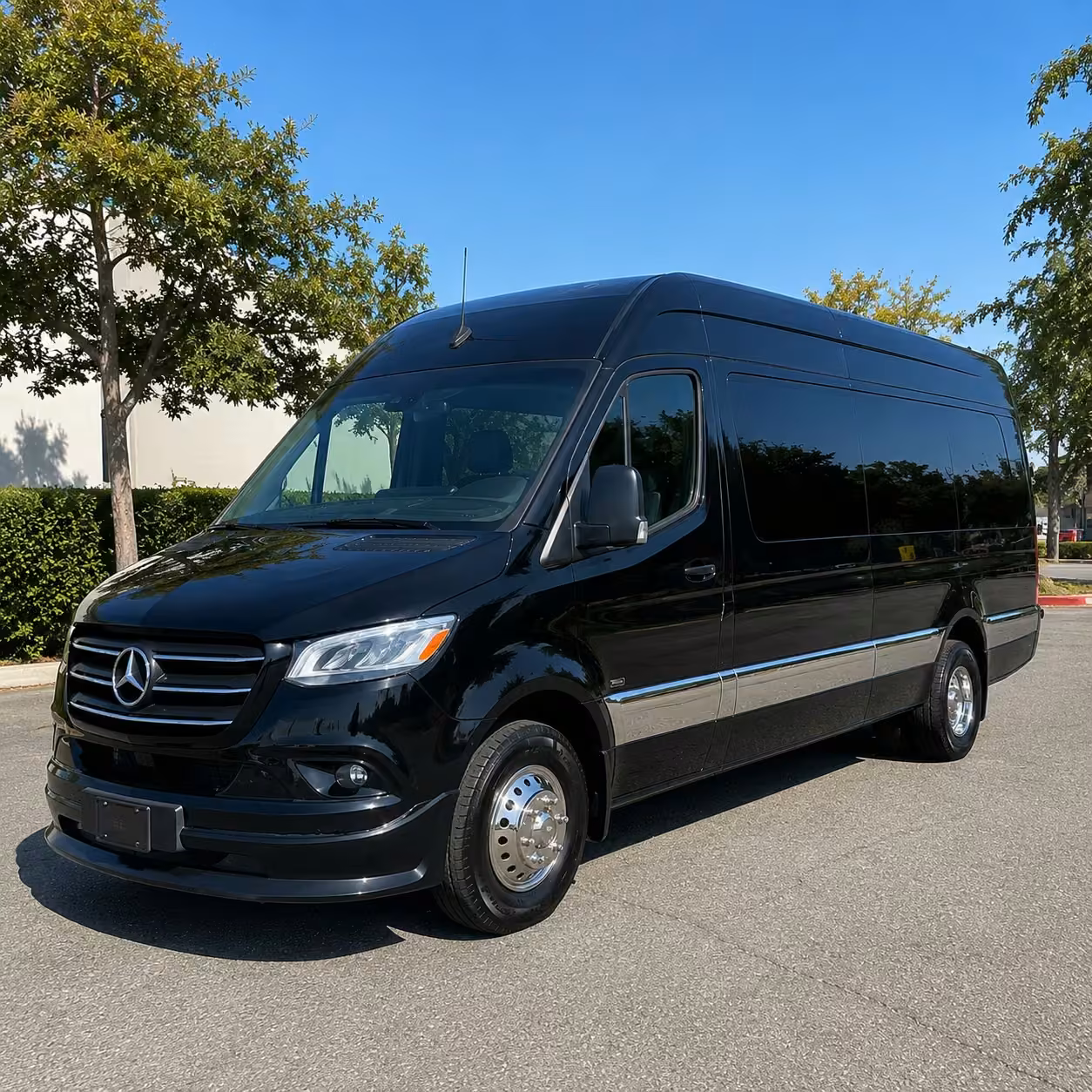 sprinter van rental with driver